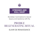 Medavita Prodige Professsional Rejuvinating Lotion Ampoules 12st.