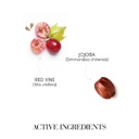 Medavita Curladdict Curling Shampoo