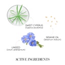 Medavita Prodige Professsional Hair Detoxifying Mud