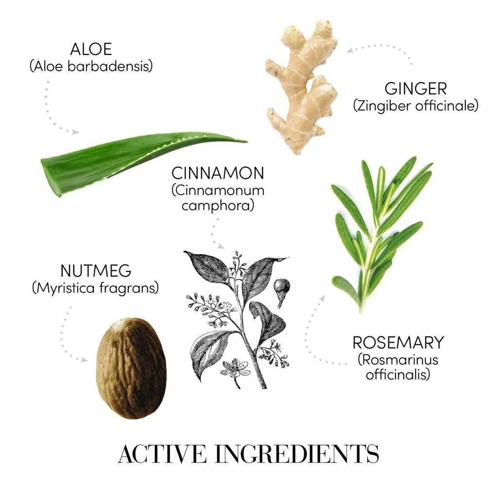 Medavita Lotion Concentrée Homme Anti-Hair loss Intensive Treatment Ampoules 13st.